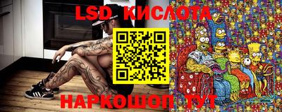 амф Коммунар