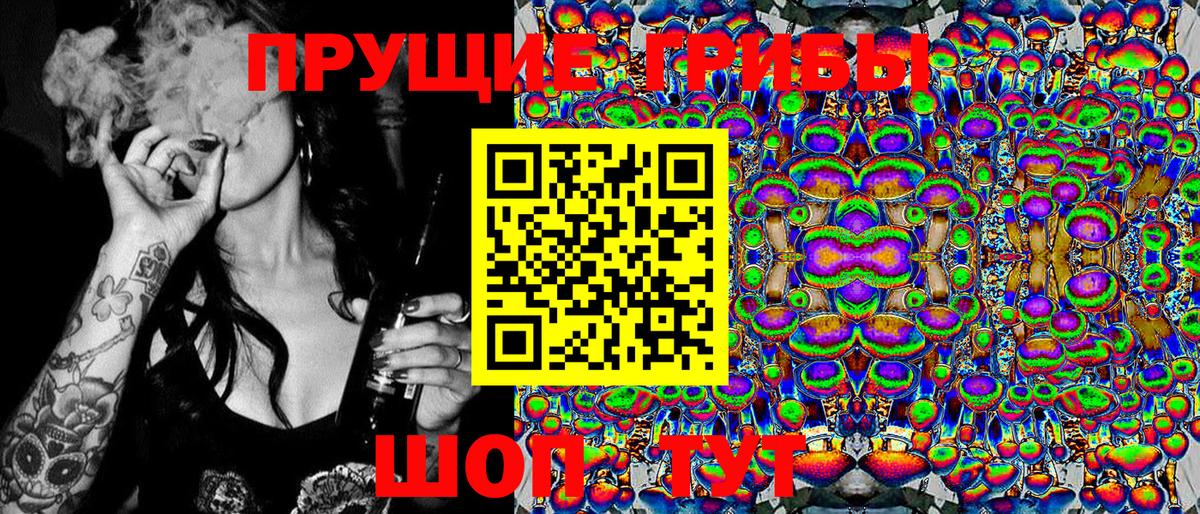Галлюциногенные грибы мицелий  Вход с VPN  Среднеуральск 